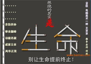 瀏陽市平面設(shè)計與軟件開發(fā) 融合創(chuàng)意與科技，打造品牌新動力